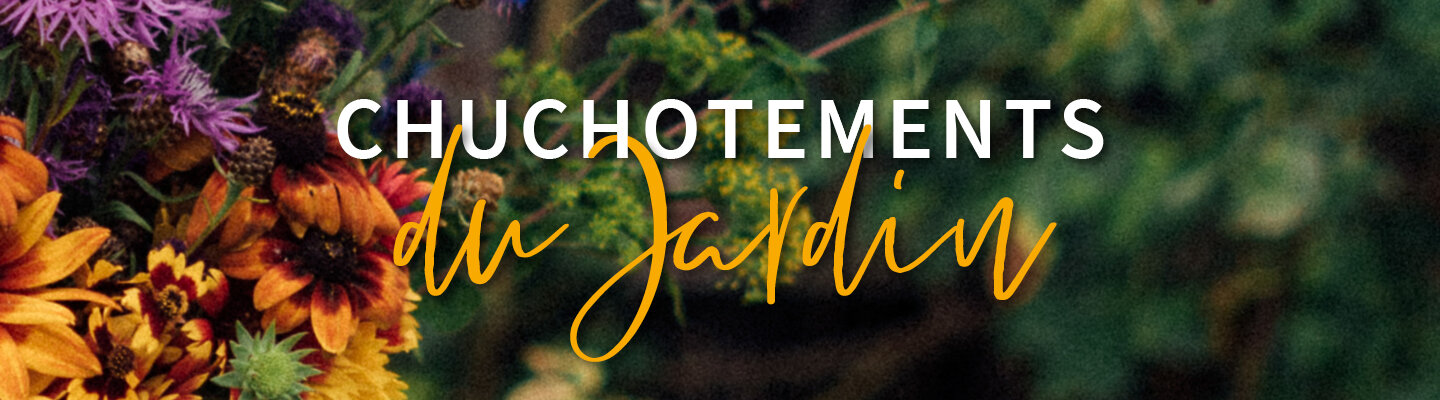 Blog: Chuchotements du Jardin