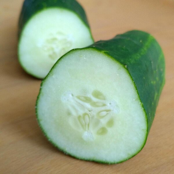 Concombre Marketmore (Cucumis sativus) Bio semences