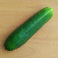 Concombre Marketmore (Cucumis sativus) Bio semences