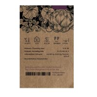 Chou-fleur Neckarperle, Perle du Neckar (Brassica oleracea var. botrytis) bio semences