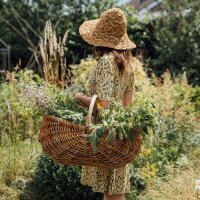 Le monde merveilleux des herbes - Coffret de multiplication des graines bio pour tous les jardiniers*en herbe