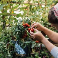 Nos plantes préférées : Un peu de tout (Bio) - Coffret cadeau de graines