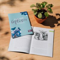 Nos plantes préférées : Un peu de tout (Bio) - Coffret cadeau de graines