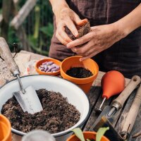 Nos plantes préférées : De bons légumes pour lautosuffisance* (Bio) – Kit de graines