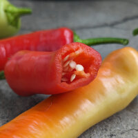 Piment Banane Sweet Banana (Capsicum annuum) graines