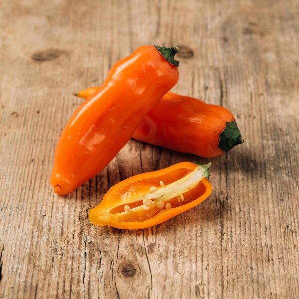 Piment jaune Aji Amarillo (Capsicum baccatum) graines