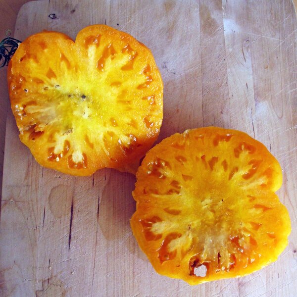 Tomate Orange Persimmon (Solanum lycopersicum) graines