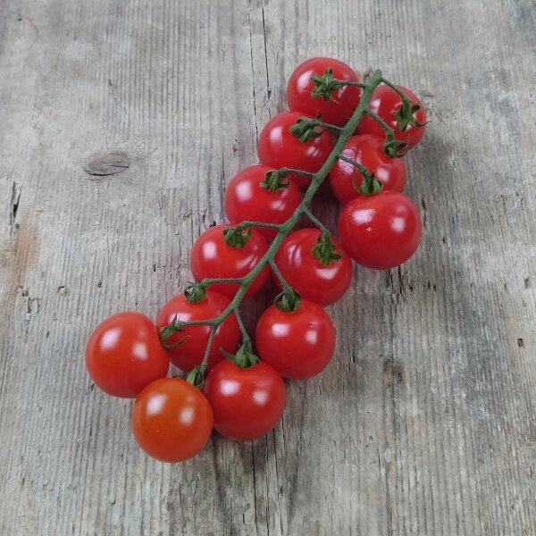 Tomate Cherry Red Bell (Solanum lycopersicum) graines