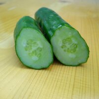 Concombre Tanja (Cucumis sativus) Bio semences