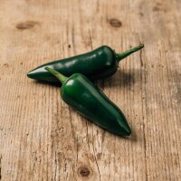 Piment Serrano (Capsicum annuum)