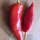 Piment Hungarian Hot Wax (Capsicum annuum) Bio semences