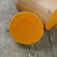 Courge doubeurre Waltham Butternut (Cucurbita moschata) graines