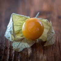 Coqueret du Pérou / Groseille du Cap  (Physalis peruviana) graines