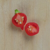 Piment doux "Biquinho" (Capsicum chinense) graines