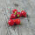 Piment doux "Biquinho" (Capsicum chinense) graines