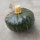 Potimarron "Buttercup" (Cucurbita maxima)  graines