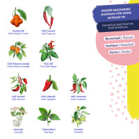 Chillis & Friends - 10 open pollinated Chilli & Herb varieties - exotic & fiery - Beginner seed kit <ai>