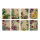 Pochettes cadeaux - Splendeur florale - 40 pochettes en papier colorées / sachets plats avec 8 designs différents