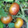 Tomate Tschernij Prinz (Solanum lycopersicum) Bio semences