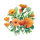 Bouquet de fleurs oranges