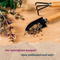 Herbes Culinaires Classiques (bio) -  kit de graines