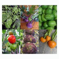 Urban gardening - kit de graines