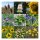 Wild Birdfeed Flower Meadow (Organic) - Seed kit