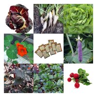 Légumes moins exigeants pour parterre surélevé (biologique) - Coffret de semences