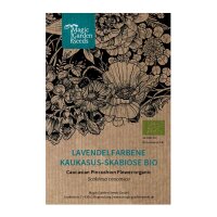 Lavande Caucase Scabieuse (Scabiosa caucasica) biologique semences