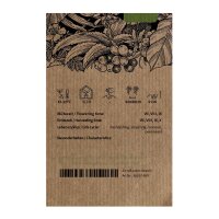 Tabac Badischer Geudertheimer (Nicotiana tabacum) Bio semences